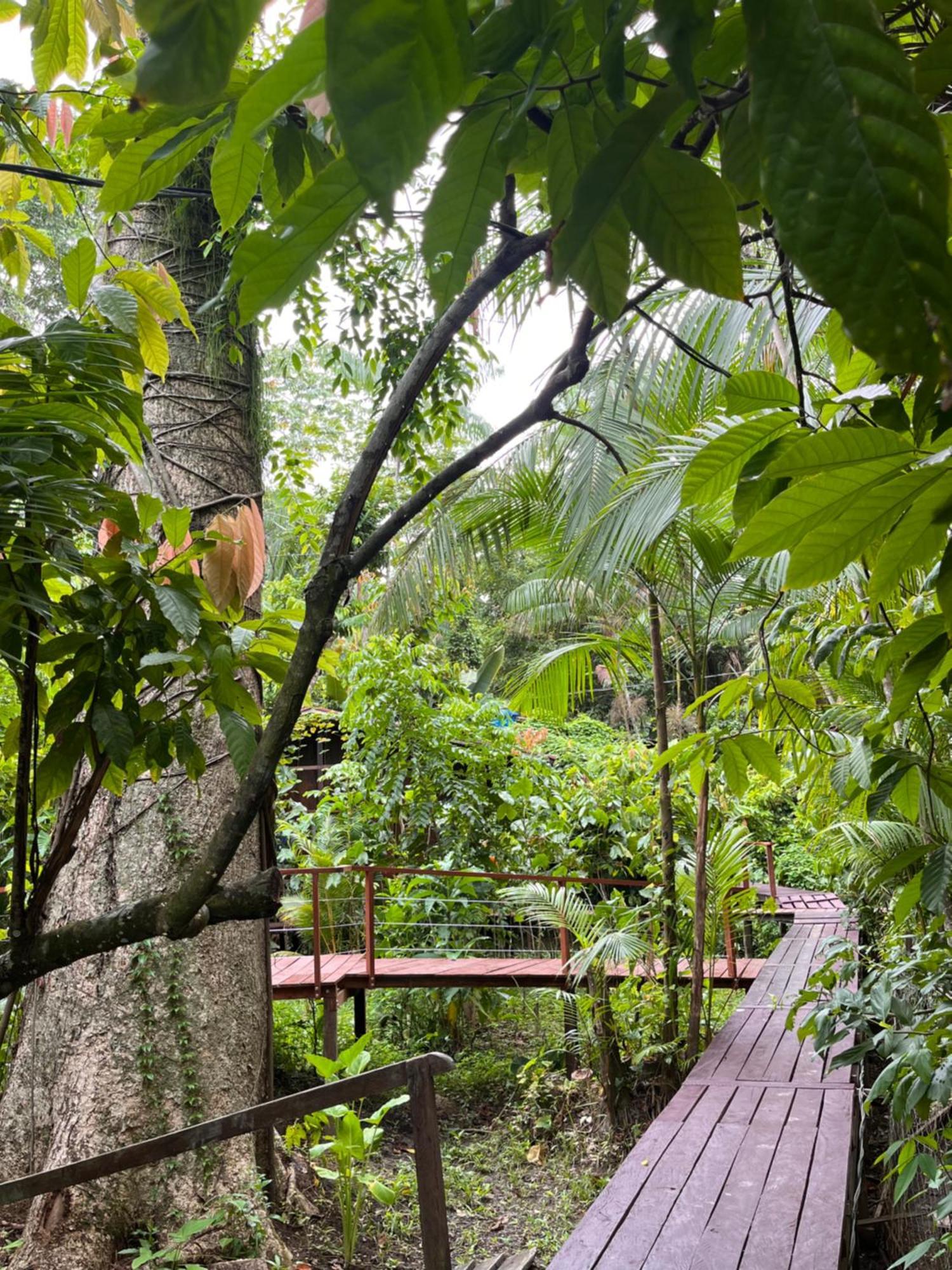 Olaria River Hostel بيليم المظهر الخارجي الصورة