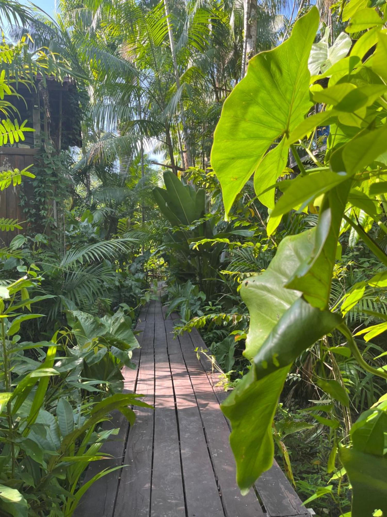 Olaria River Hostel بيليم المظهر الخارجي الصورة