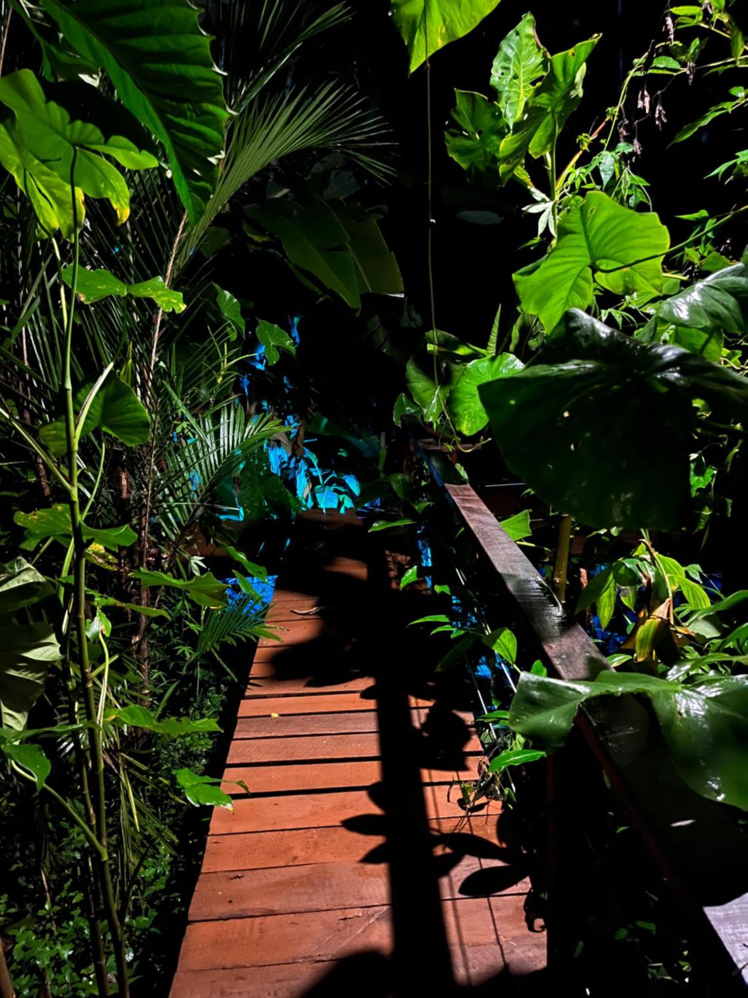 Olaria River Hostel بيليم المظهر الخارجي الصورة