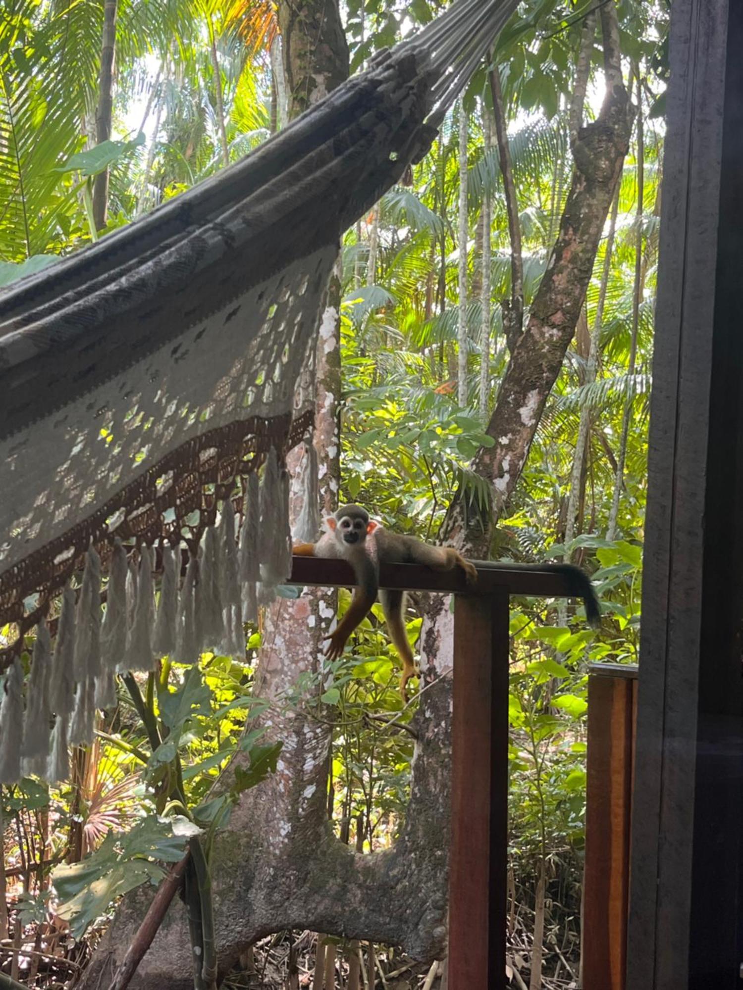 Olaria River Hostel بيليم المظهر الخارجي الصورة